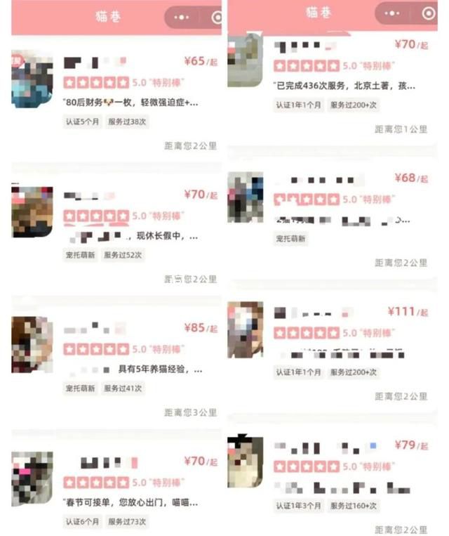 春節上門喂寵物8天掙上萬 各種副業做得風生水起