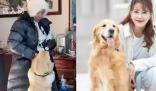 演員李勤勤收養周海媚愛犬 與新家人不斷互動看起來很精神