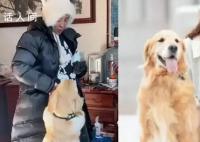 演員李勤勤收養周海媚愛犬 與新家人不斷互動看起來很精神