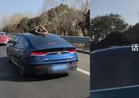 女子高速遭陌生男子爬車頂搶方向盤 被拉下去后又爬上車頂