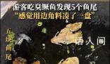 游客168元點(diǎn)一份魚發(fā)現(xiàn)5條魚尾 感覺用邊角料湊了一盤