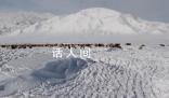 蒙古國(guó)近66.8萬頭牲畜死亡 在嚴(yán)寒與暴風(fēng)雪天氣中死亡