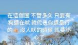 周杰倫:有狗還在吠代表你還是行的 疑似回應看霉霉演唱會爭議