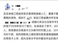 男子舉報妻子與副鎮長非法同居 多年舉報無果