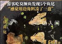 游客168元點一份魚發現5條魚尾 感覺用邊角料湊了一盤