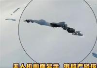 新疆狼群在積雪下挖出一條路 拍下罕見的畫面