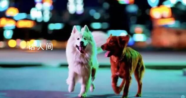 Sora的潘多拉魔盒里有什么 世界模型提前實現(xiàn)了嗎