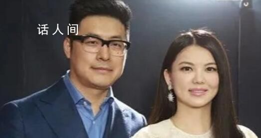 李湘王岳倫成立新公司 王岳倫持股1%并擔任監事