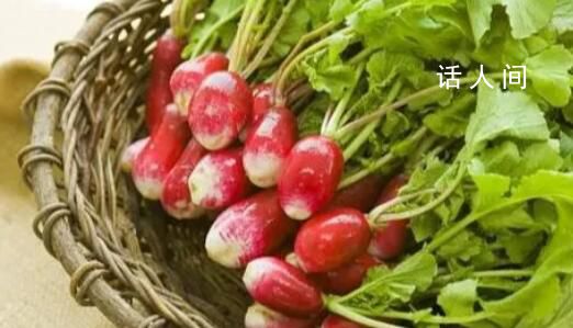 “迷你蔬菜”更有營(yíng)養(yǎng)?蔬菜的營(yíng)養(yǎng)價(jià)值高低要根據(jù)具體類別而定