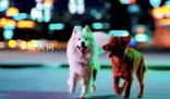 Sora的潘多拉魔盒里有什么 世界模型提前實現了嗎