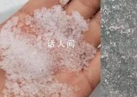 鄭州下“大米粒”冰雹雨 清雪工作仍在緊張有序進行中