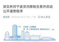 寧波靈均42秒賣出13.72億元股票 量化私募寧波靈均被限制交易