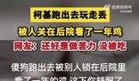 柯基跑丟后被人關雞棚看了一年雞 網友：柯基外出打工打工一年包吃包住