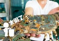上海市場日本進口魚類銷售火爆?中國尚未恢復從日本進口原產地為日本的水產品