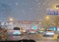 氣象預報又“全黑”了?多地停課