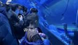 鄭州潛水員溺亡海洋館發(fā)布情況說(shuō)明 已與家屬妥善完成善后工作