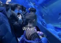 鄭州潛水員溺亡海洋館發布情況說明 已與家屬妥善完成善后工作