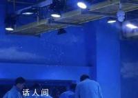 海洋館潛水員溺亡 游客:以為是假人