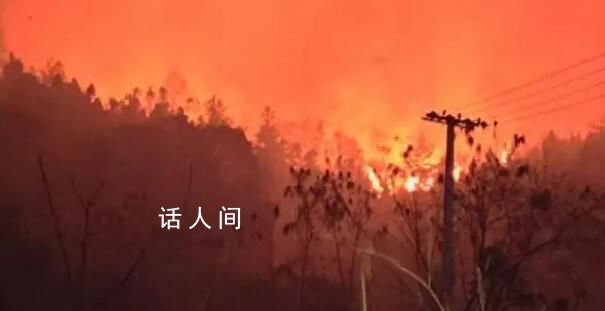 貴州山火五日:“無聲”的萬人救援