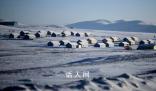 蒙古國大雪覆蓋全國八成土地 牲畜死亡數近日顯著攀升