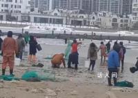 海邊發生多起撈海腸溺水事件 有人冒險下海打撈