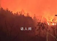 貴州山火五日:“無聲”的萬人救援
