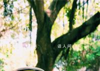 椰樹去年在擦邊爭議中賣了50億 全年總銷量70萬噸