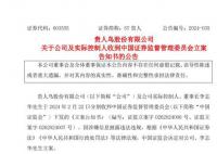 貴人鳥(niǎo)公司及其董事長(zhǎng)被立案 涉嫌信披違法違規(guī)