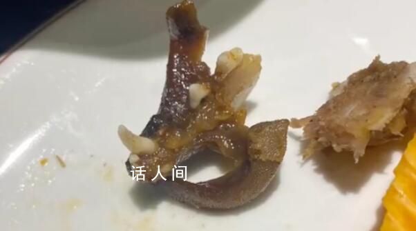 顧客疑在干鍋兔肉里吃出貓頭 店家稱已聯系供應商將從源頭調查