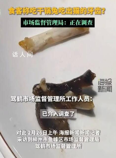 干鍋兔吃出貓牙?市監局調查