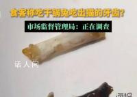 干鍋兔吃出貓牙?市監局調查
