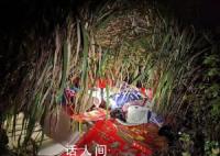 失蹤4姐弟被發(fā)現在蘆葦叢睡覺 與父母起爭執(zhí)離家