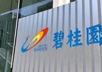碧桂園被提出清盤呈請 公司回應稱堅決反對
