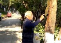 昆明大爹把小松鼠喂得隨叫隨到 500多萬人圍觀
