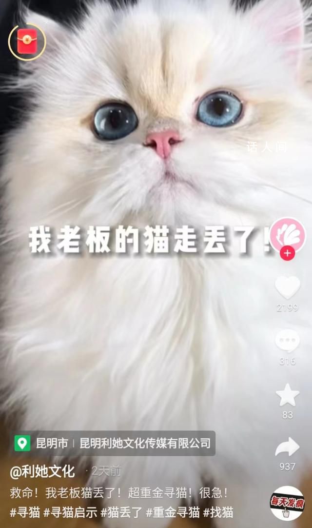 女生歸還走失貓咪獲主人6萬賞金 網友質疑是公司營銷出來的劇本