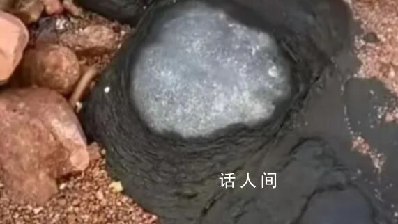 專家辟謠青島三浴海邊有火山蛋 這些石頭是火成巖