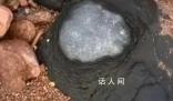 專家辟謠青島三浴海邊有火山蛋 這些石頭是火成巖