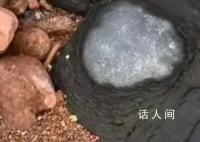 專家辟謠青島三浴海邊有火山蛋 這些石頭是火成巖