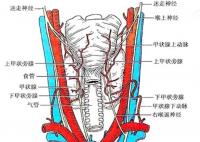 女生唱歌突然跑調(diào)查出惡性腫瘤 這讓她苦不堪言