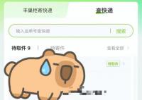 新規(guī)首日 你的包裹送上門了嗎?