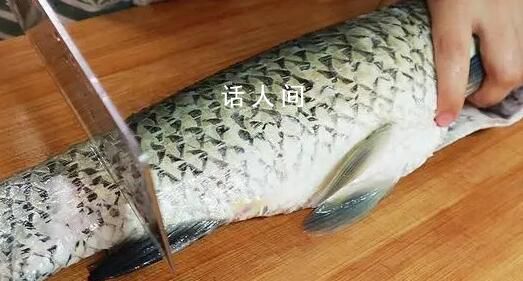 中國科學家研究出無刺草魚 將極大地推動水產(chǎn)養(yǎng)殖業(yè)的發(fā)展