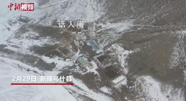 新疆烏什雪豹夜襲羊圈咬死40多只羊 雪豹被放歸大山