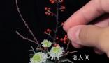 女程序員下班后造了一座植物園 