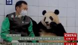 福寶在韓國最后一天上班 最后一次與韓國公眾見面的時間定在3月3日