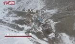 新疆烏什雪豹夜襲羊圈咬死40多只羊 雪豹被放歸大山