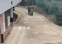 退伍軍人獨自歸家 網友暖心留言