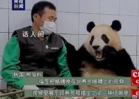 福寶在韓國最后一天上班 最后一次與韓國公眾見面的時間定在3月3日