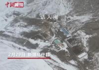 新疆烏什雪豹夜襲羊圈咬死40多只羊 雪豹被放歸大山