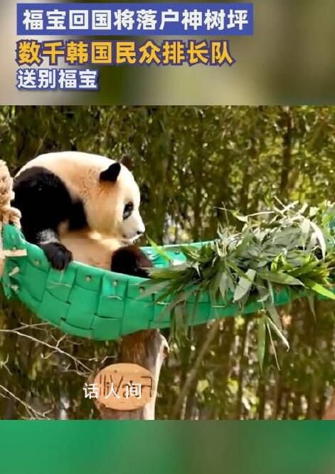 福寶回國將落戶神樹坪 有人排隊近7小時送別