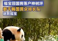 福寶回國將落戶神樹坪 有人排隊近7小時送別